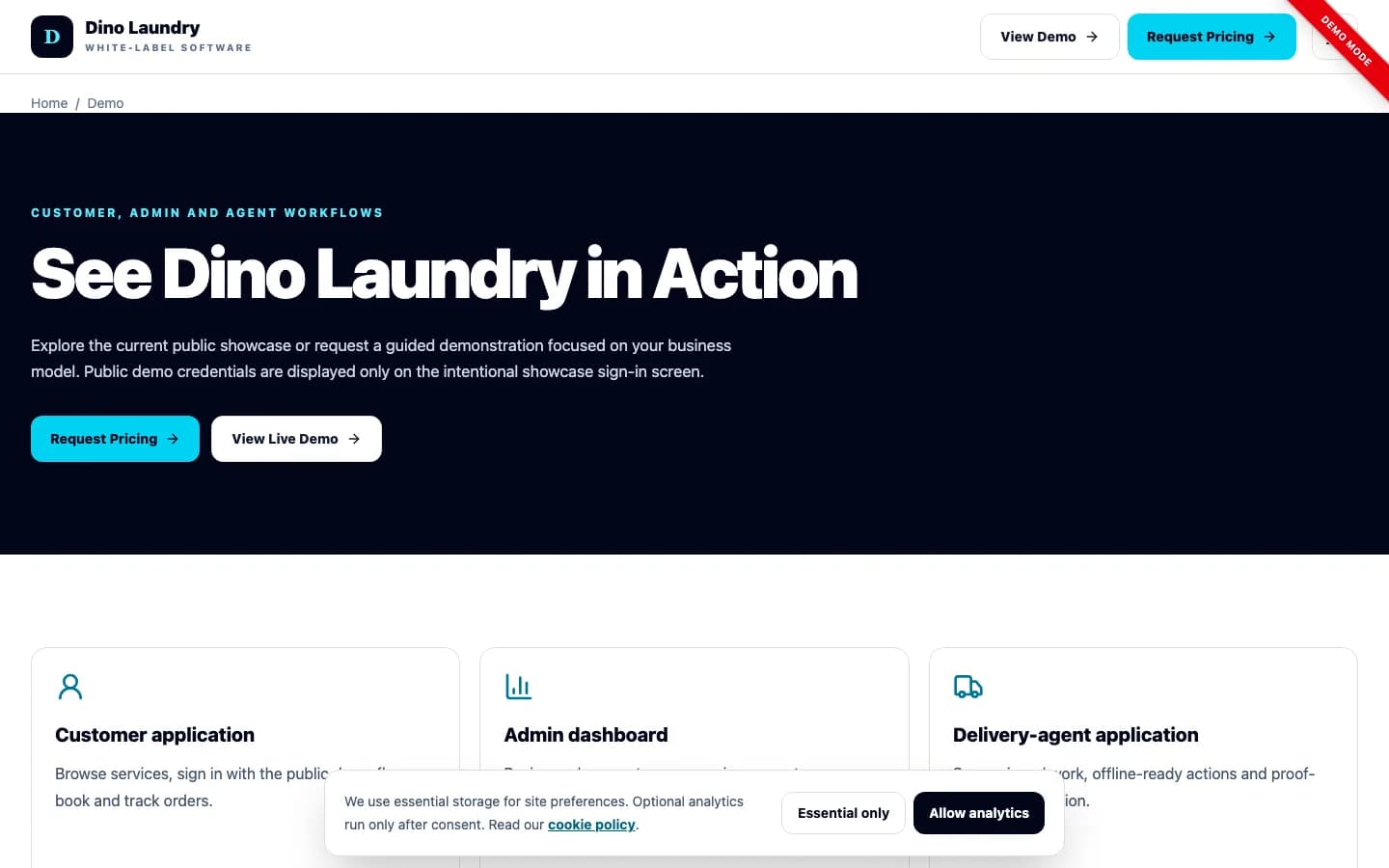 Dino Laundry home page on desktop — See Dino Laundry in Action