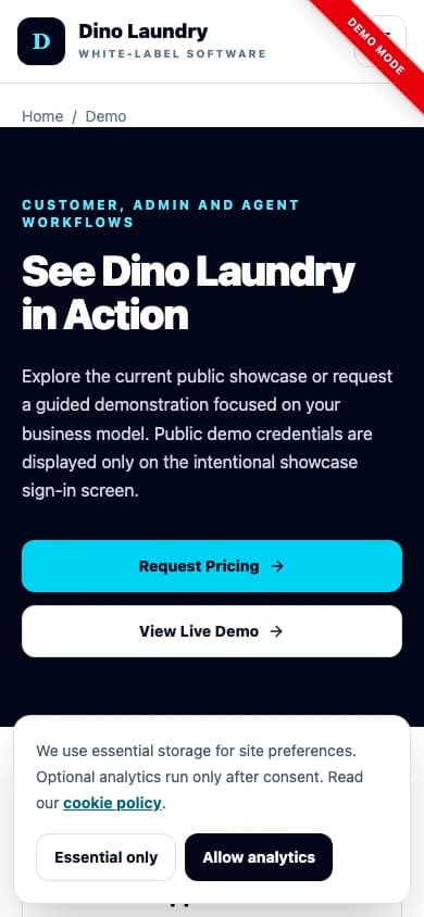 Dino Laundry home page on mobile — See Dino Laundry in Action
