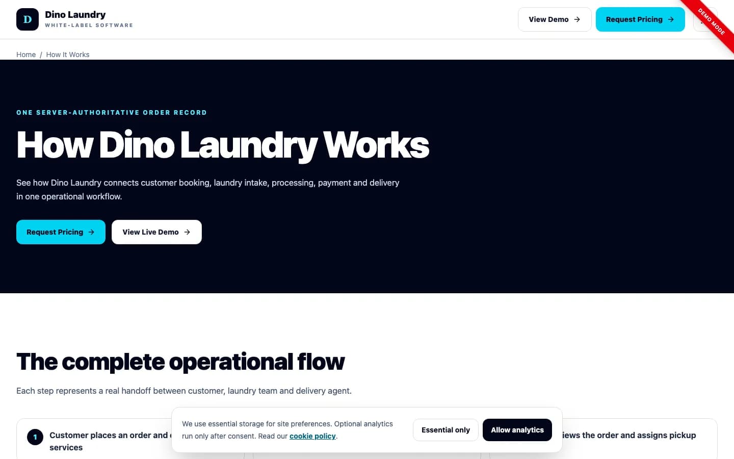 Dino Laundry how it works on desktop — How Dino Laundry Works